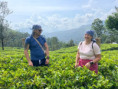 /album/fotogaleria-sri-lanka-maldivy-zajezd-vy-a-my/sri-lanka-maldivy-zajazd-49-jpg1/